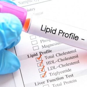 lipids
